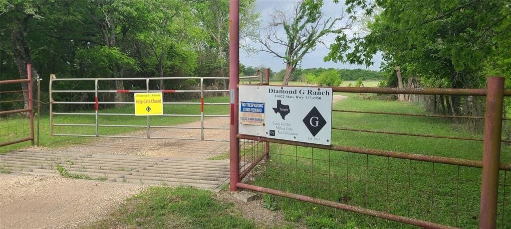 137.14 acres in Bell County - photo 6