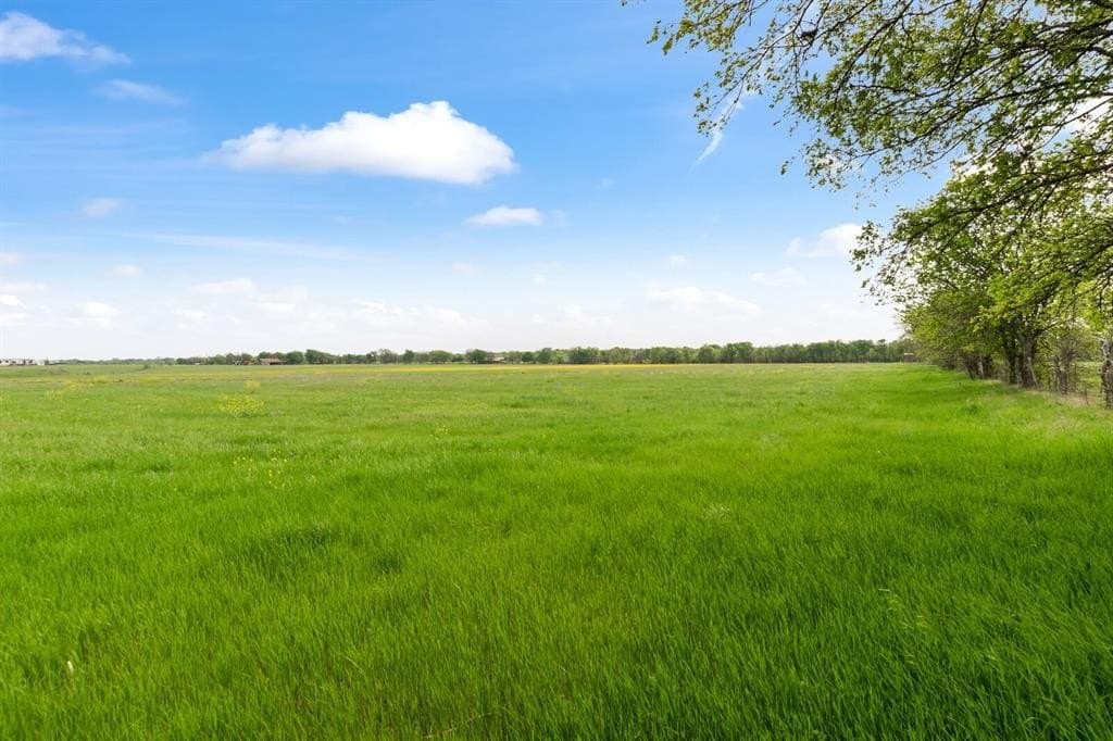 137.14 acres in Bell County - photo 17