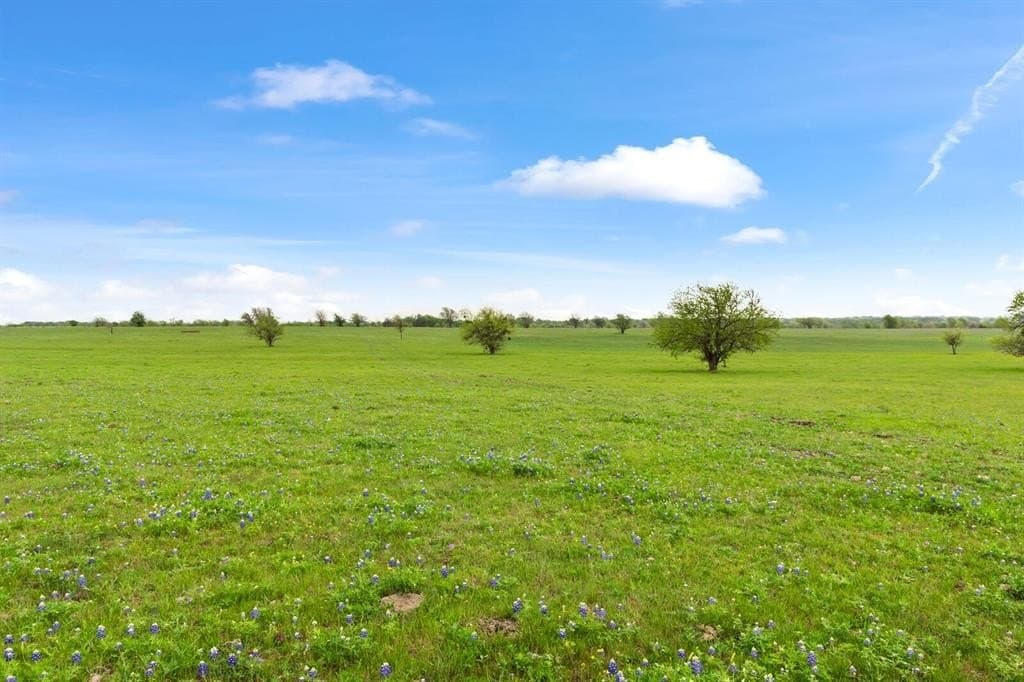 137.14 acres in Bell County - photo 13