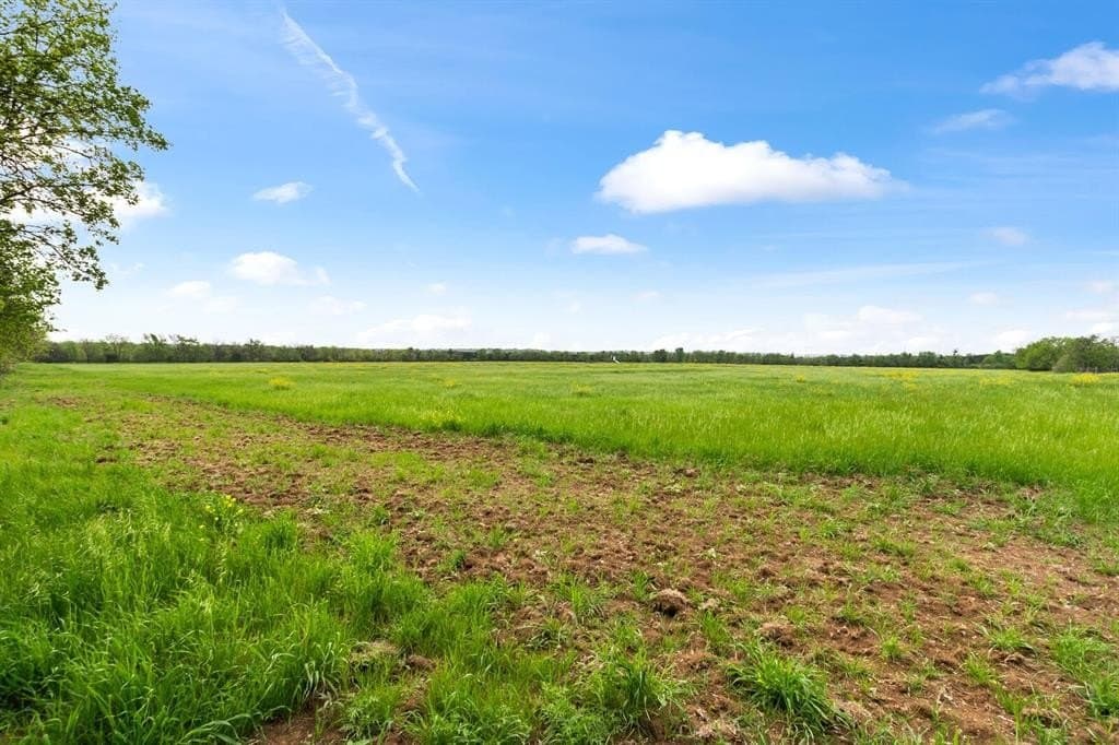137.14 acres in Bell County - photo 16