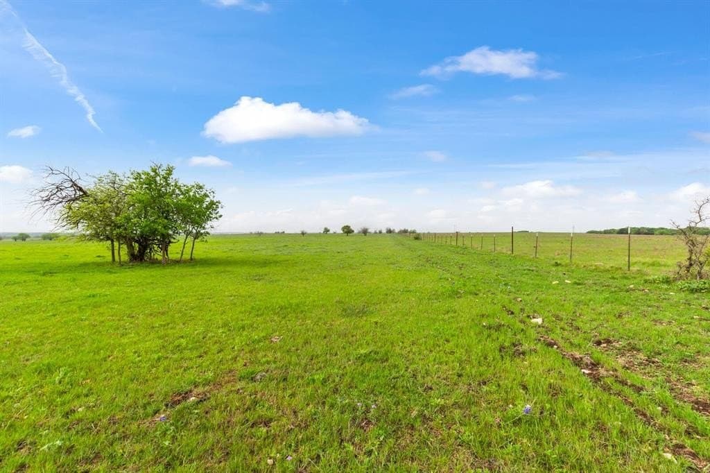 137.14 acres in Bell County - photo 19