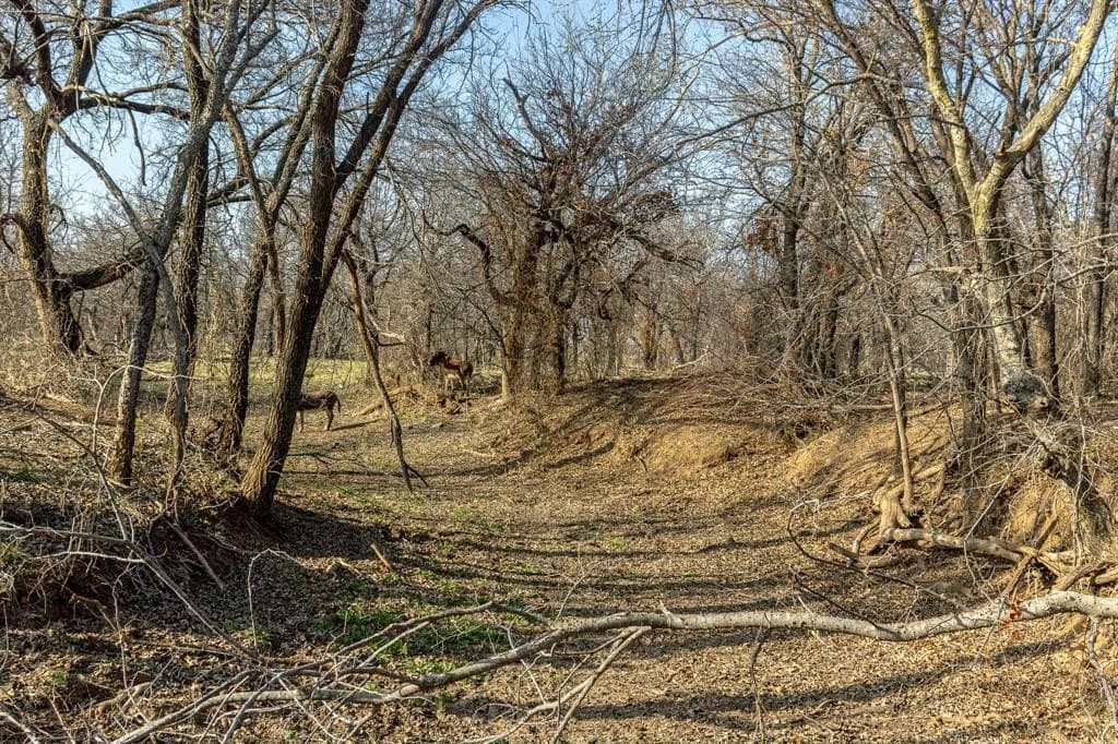 245 acres in Young County - photo 28