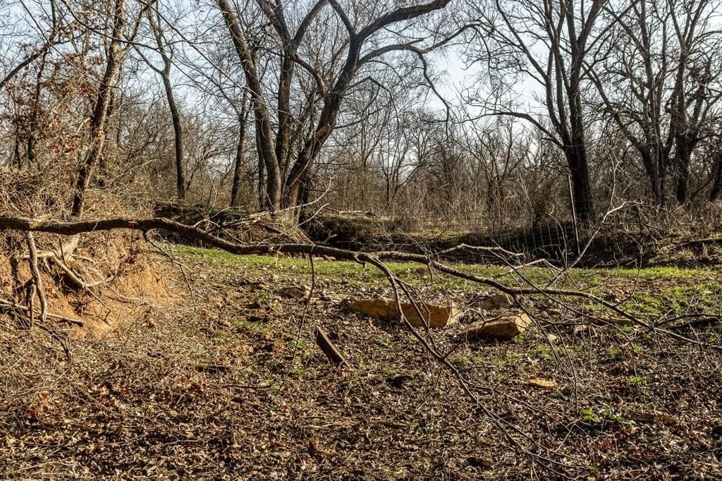 245 acres in Young County - photo 30