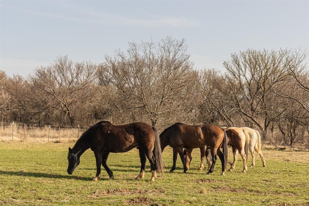 245 acres in Young County - photo 31