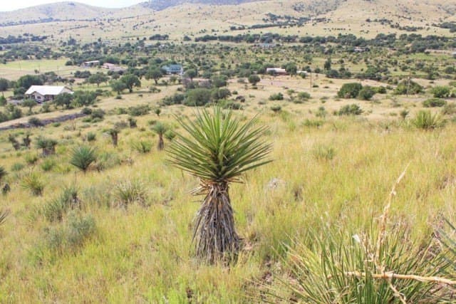 10 acres in Jeff Davis County - photo 3