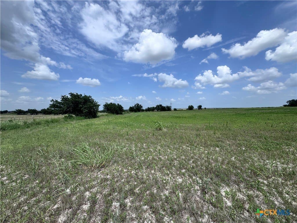 35.39 acres in Williamson County - photo 5