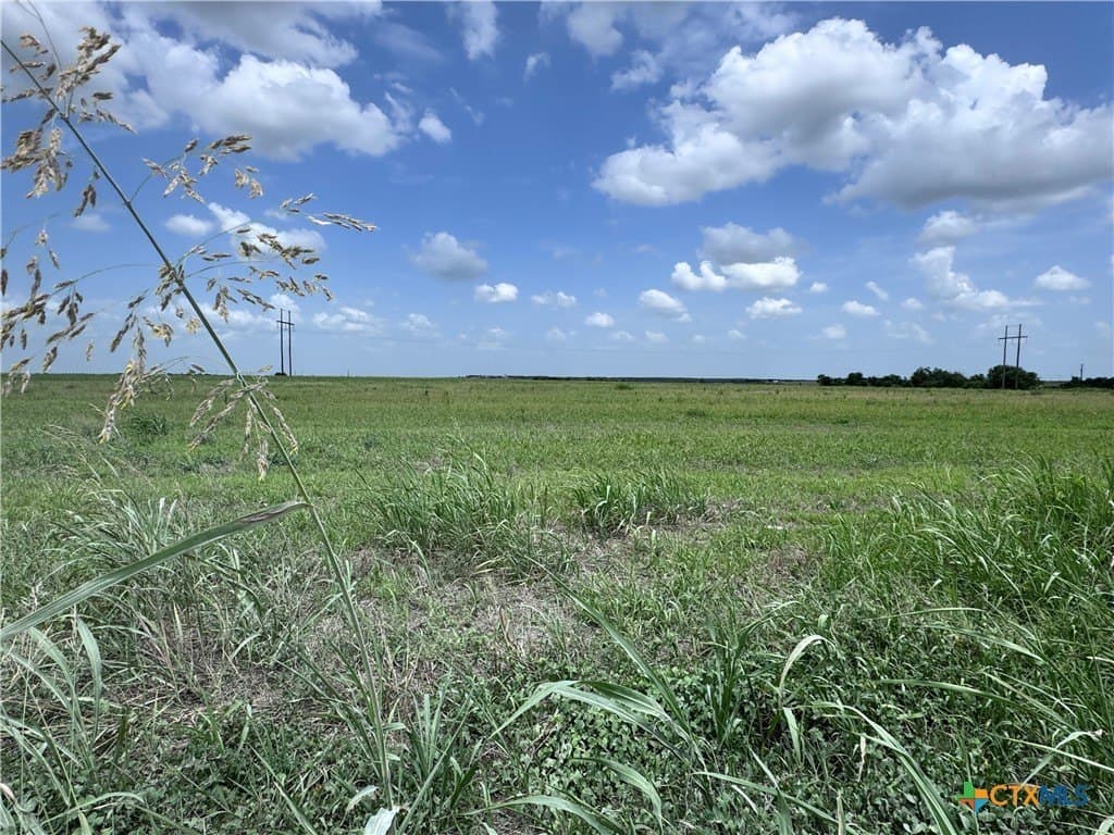 35.39 acres in Williamson County - photo 11