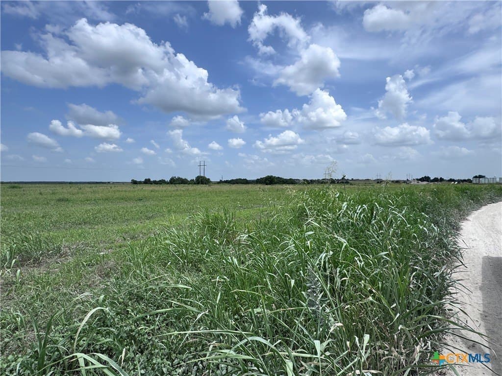 35.39 acres in Williamson County - photo 10
