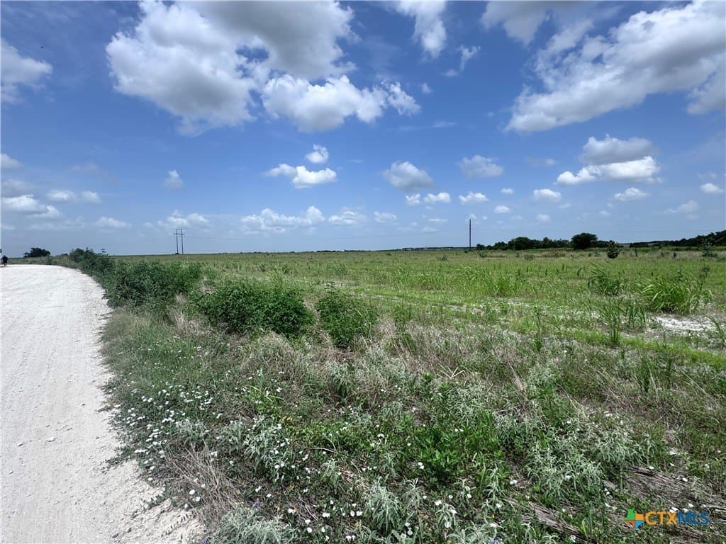 35.39 acres in Williamson County - photo 7