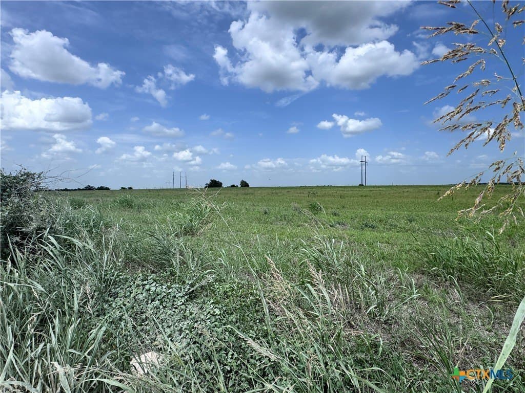 35.39 acres in Williamson County - photo 12