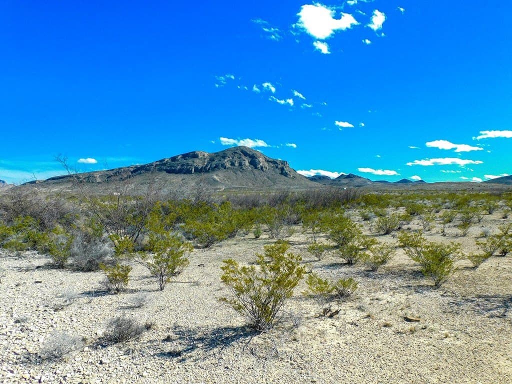 20 acres in Brewster County - photo 4