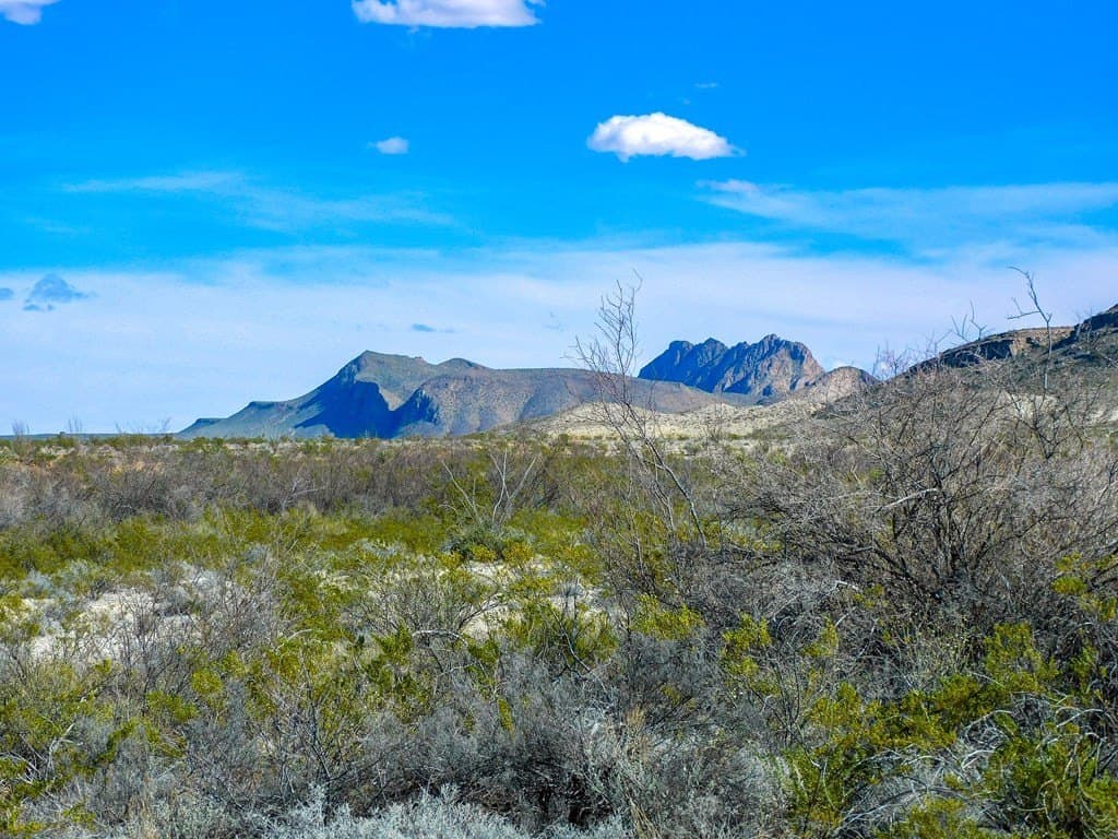20 acres in Brewster County - photo 5