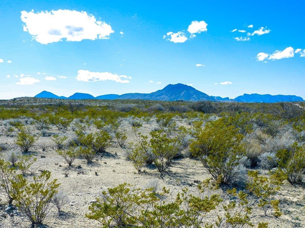 20 acres in Brewster County - photo 3
