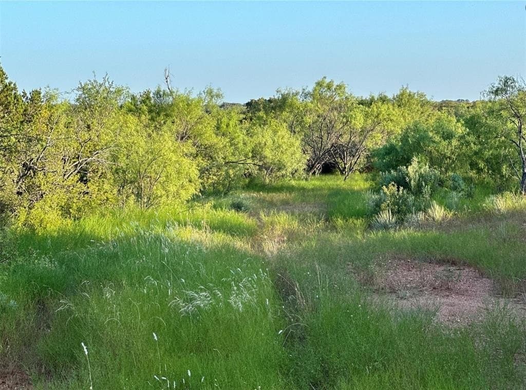 331.62 acres in Brown County - photo 17