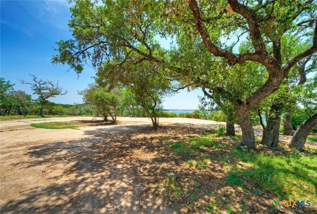 7 acres in Travis County - photo 11