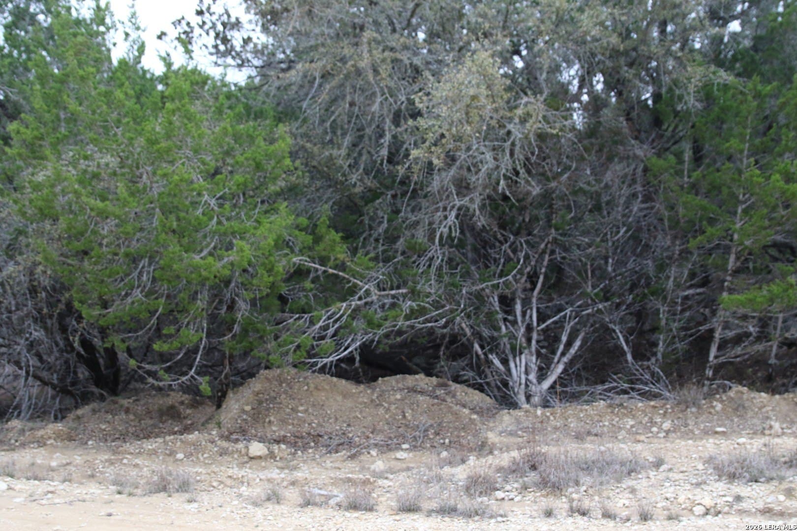 0.12 acres in Bandera County - photo 2