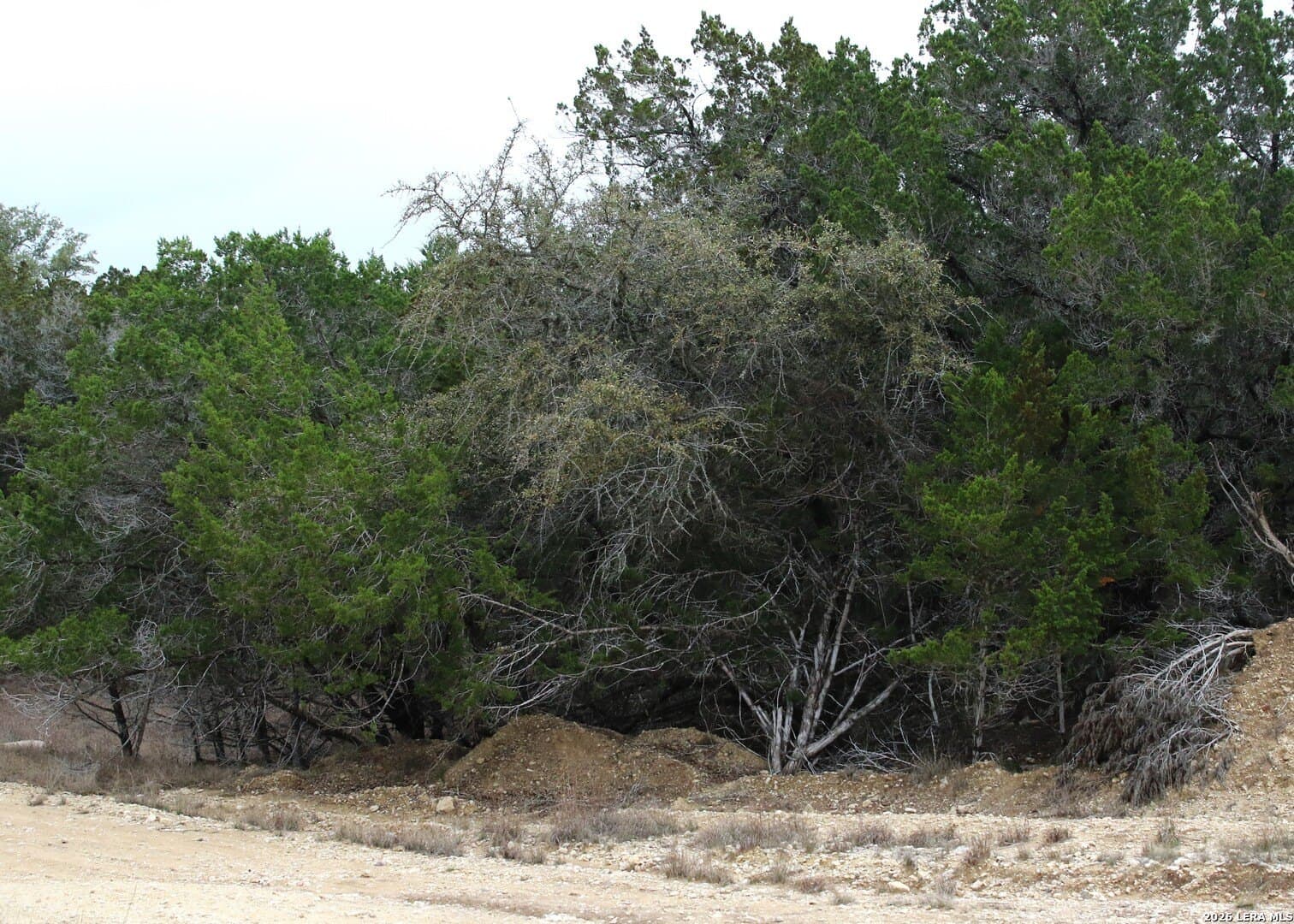 0.12 acres in Bandera County - photo 3