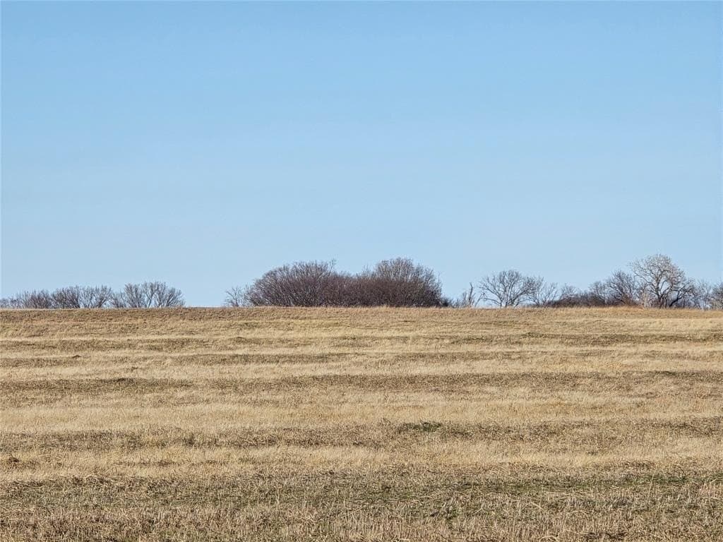 50 acres in Grayson County - photo 6