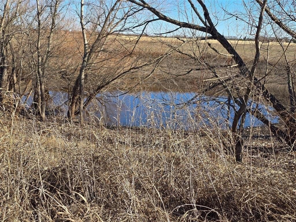 50 acres in Grayson County - photo 5