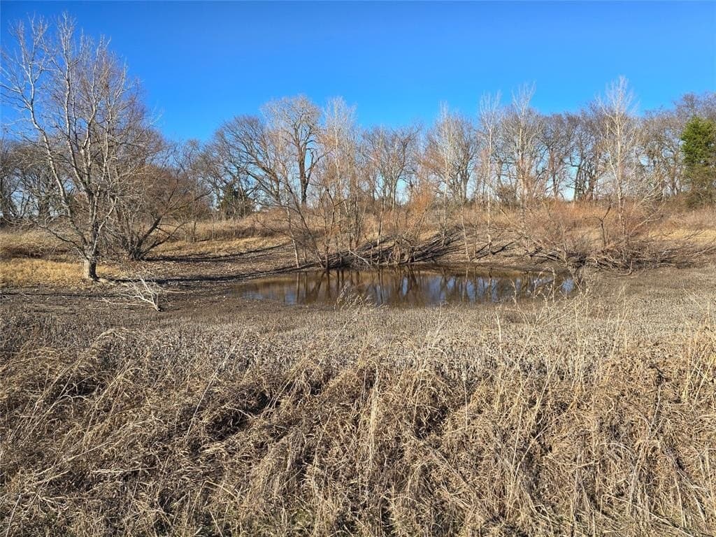 50 acres in Grayson County - photo 8