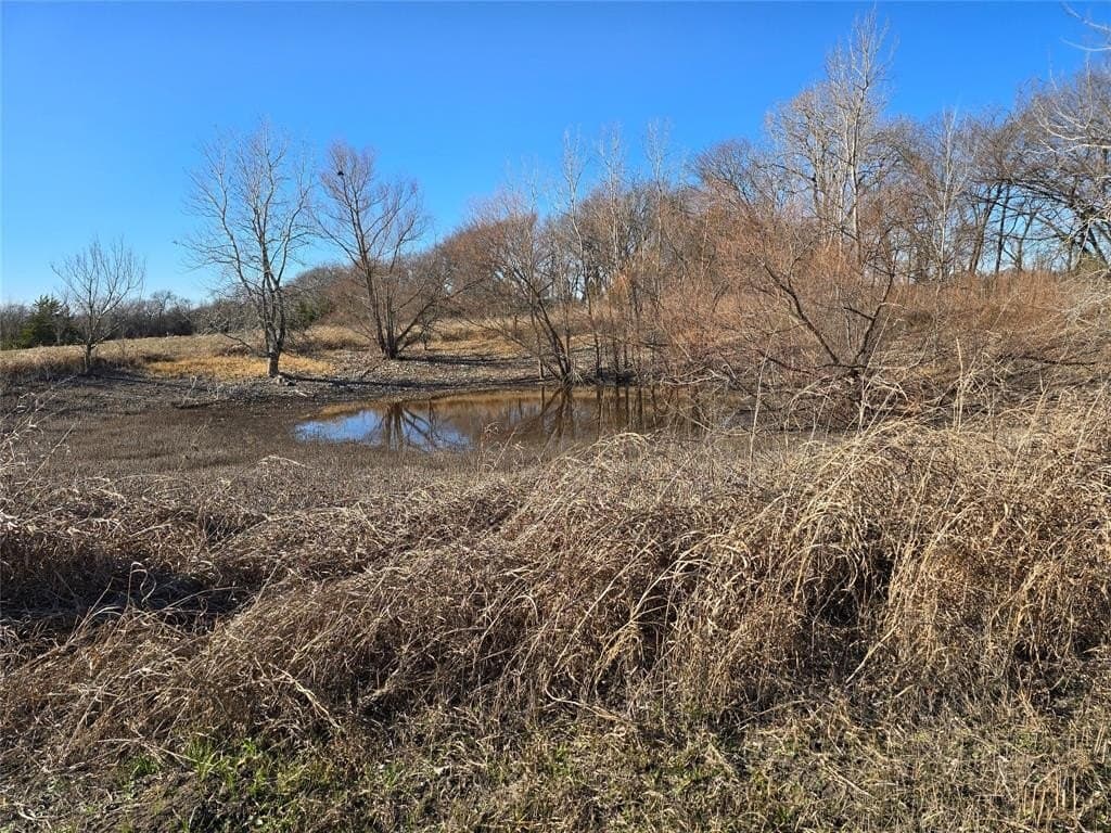 50 acres in Grayson County - photo 7
