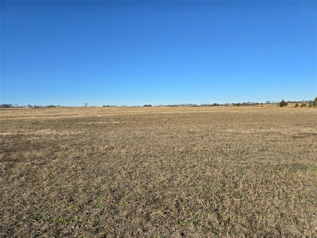 50 acres in Grayson County - photo 4