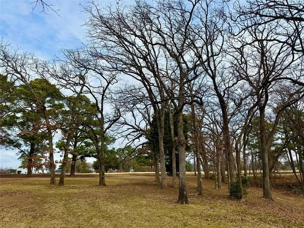 0.37 acres in Henderson County - photo 2