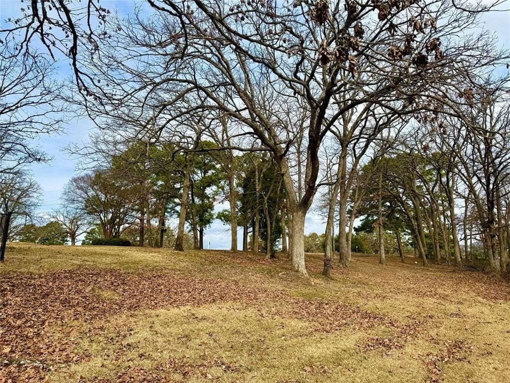 0.37 acres in Henderson County - photo 3