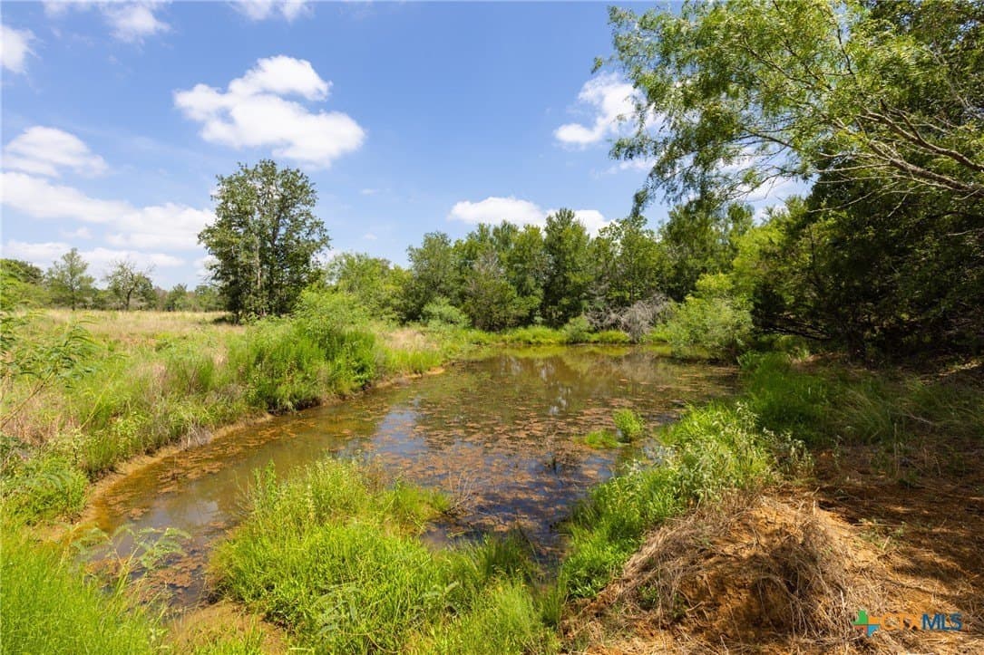24 acres in Gonzales County - photo 4