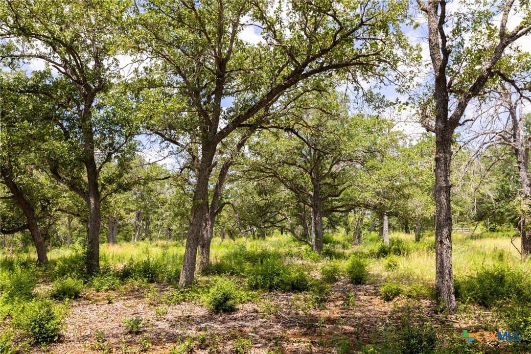 24 acres in Gonzales County - photo 8