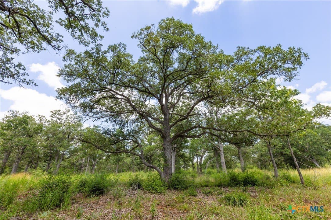24 acres in Gonzales County - photo 9