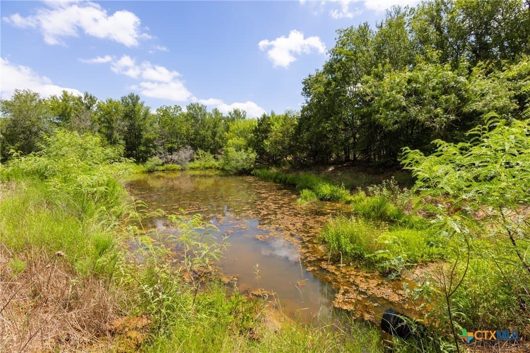 24 acres in Gonzales County - photo 5