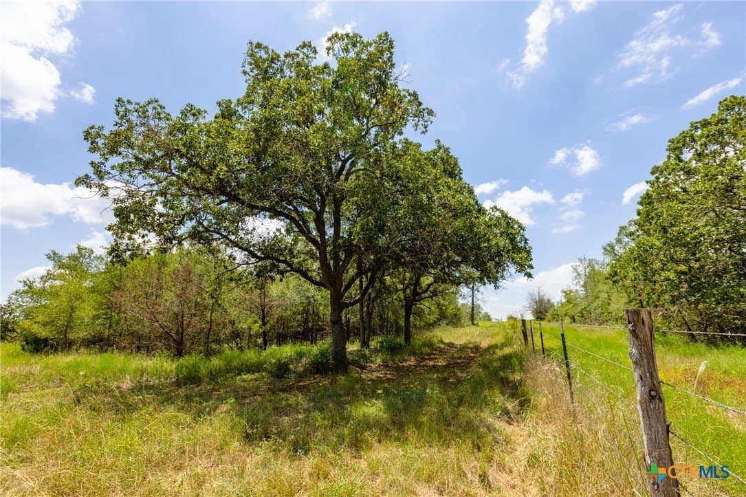 24 acres in Gonzales County - photo 10