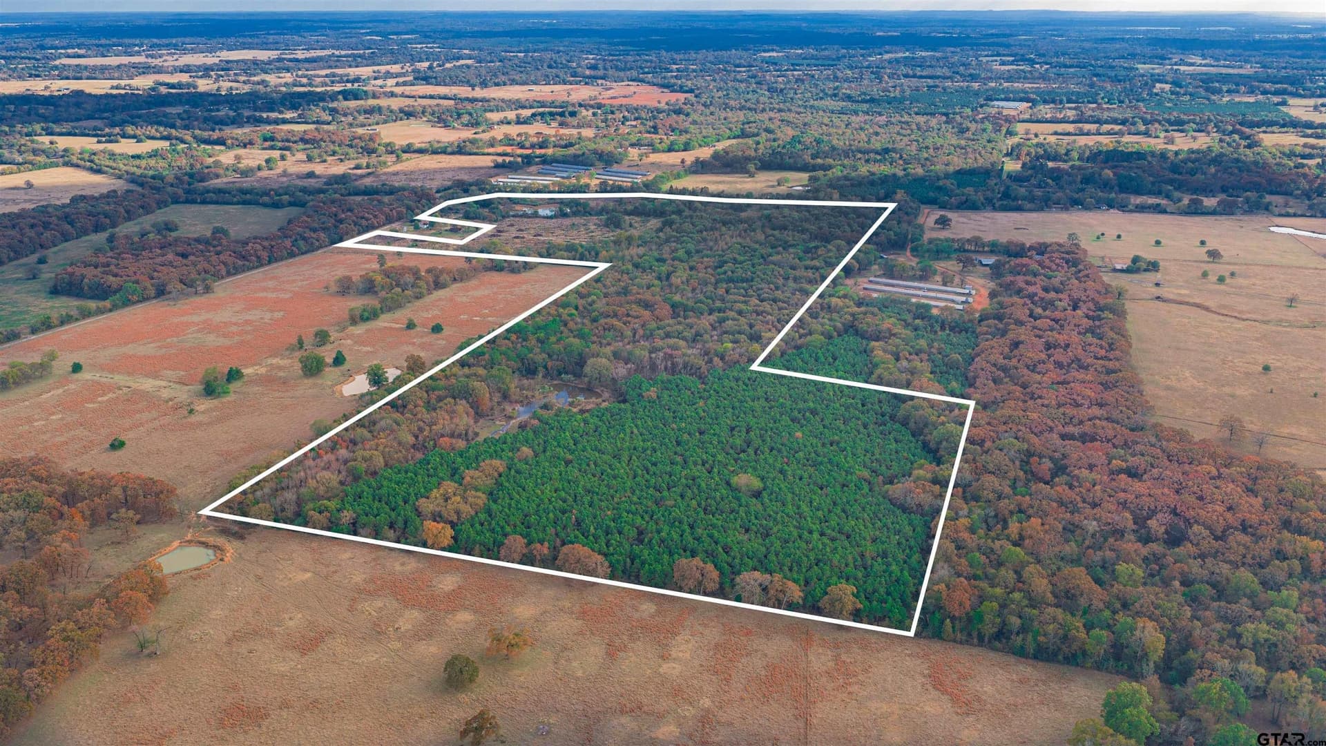 135 acres in Morris County - photo 38
