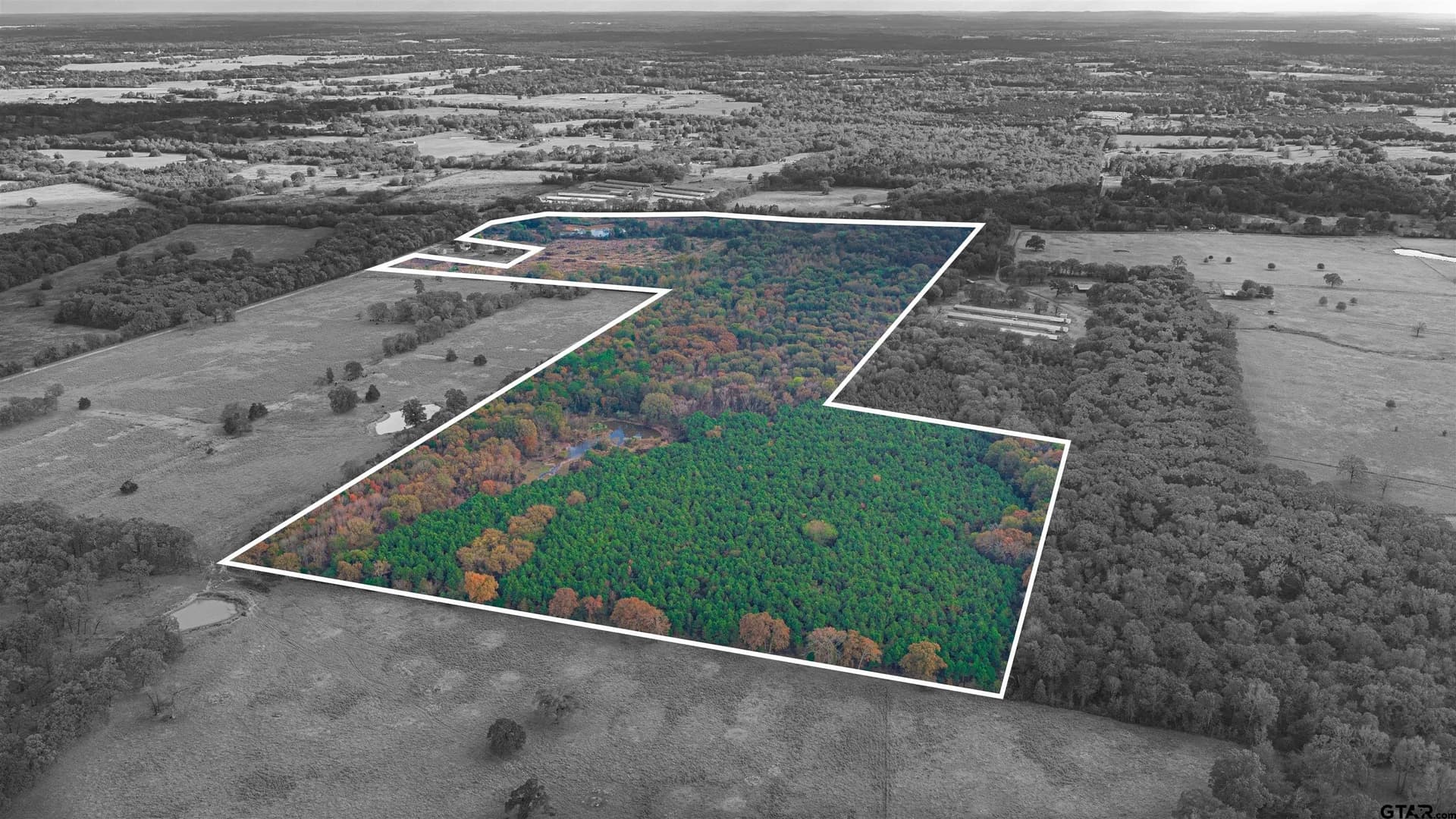 135 acres in Morris County - photo 36