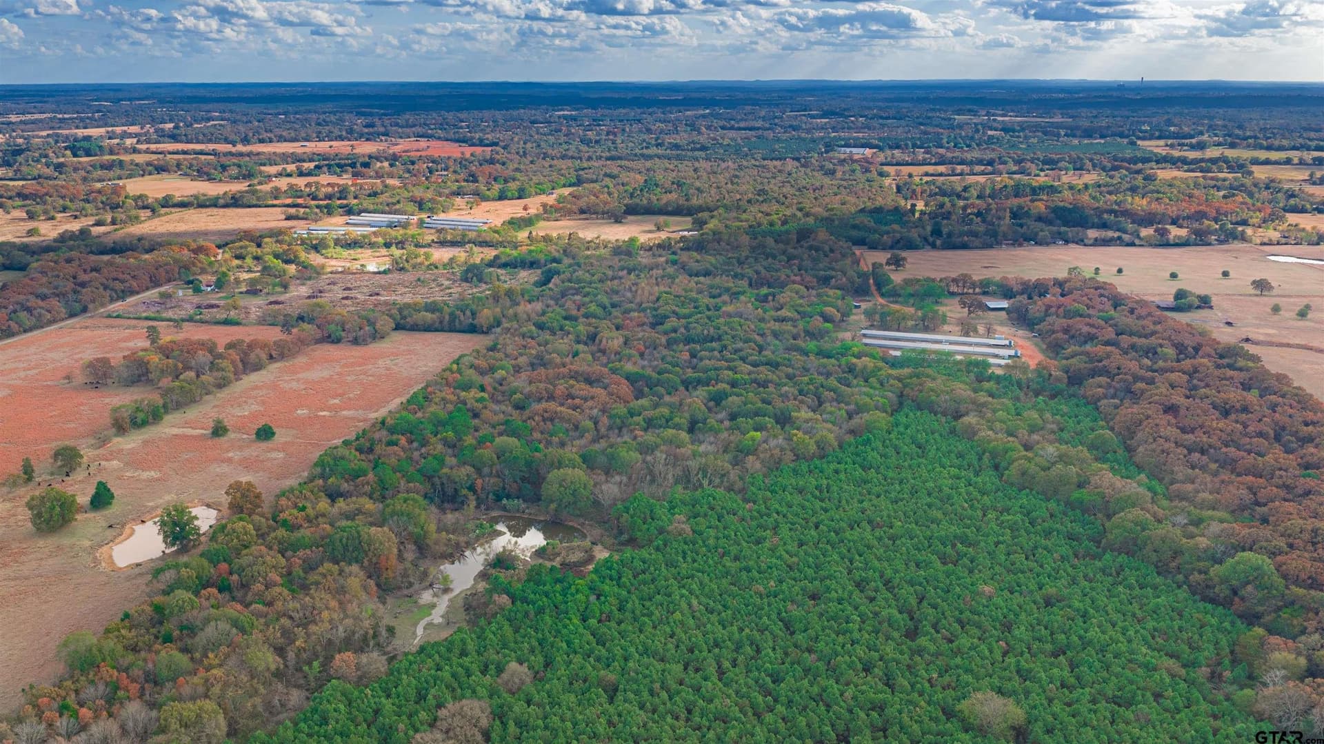 135 acres in Morris County - photo 23