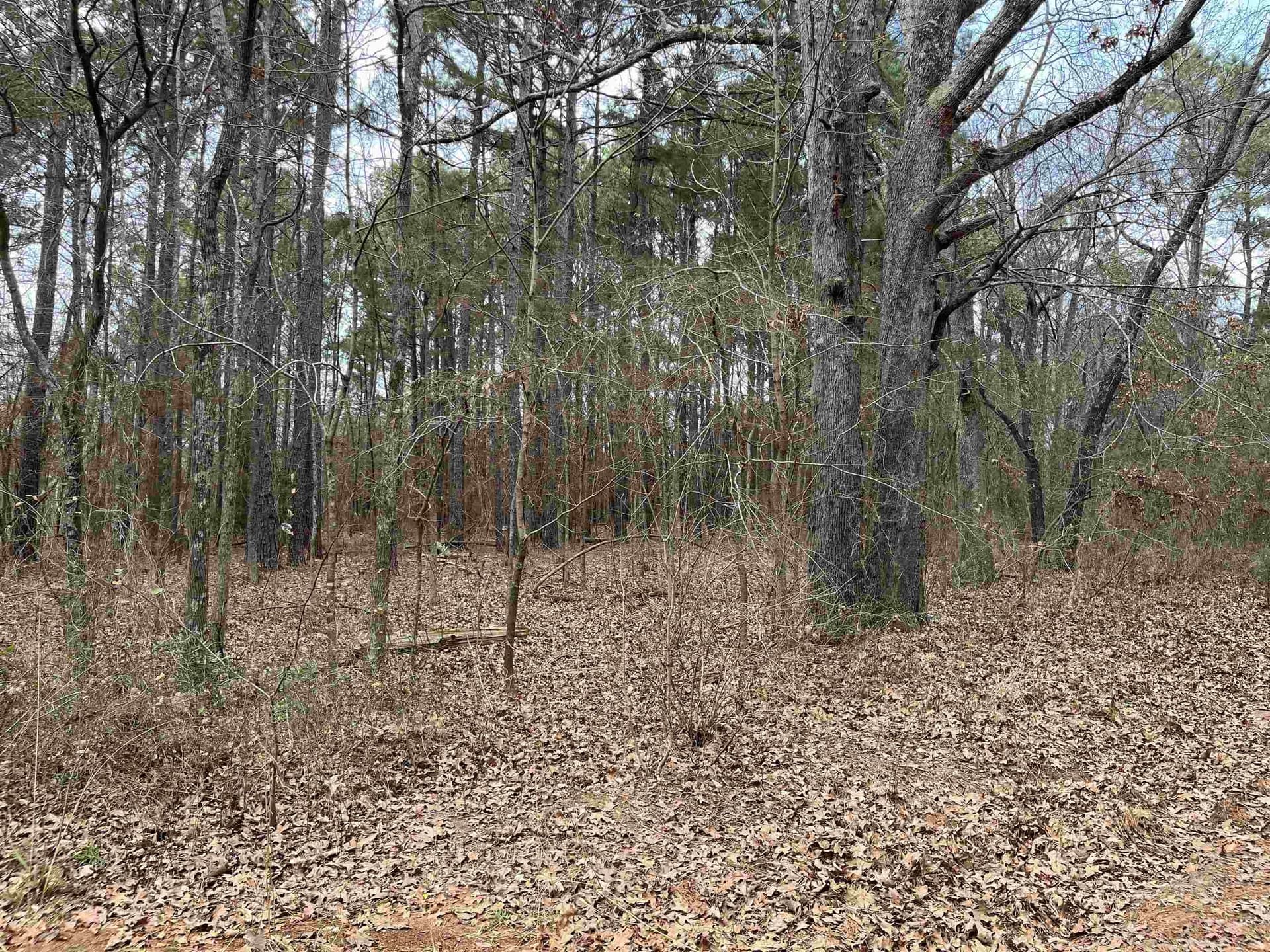 10.1 acres in Gregg County - photo 4