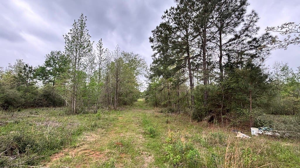 11.45 acres in Texas County - photo 6