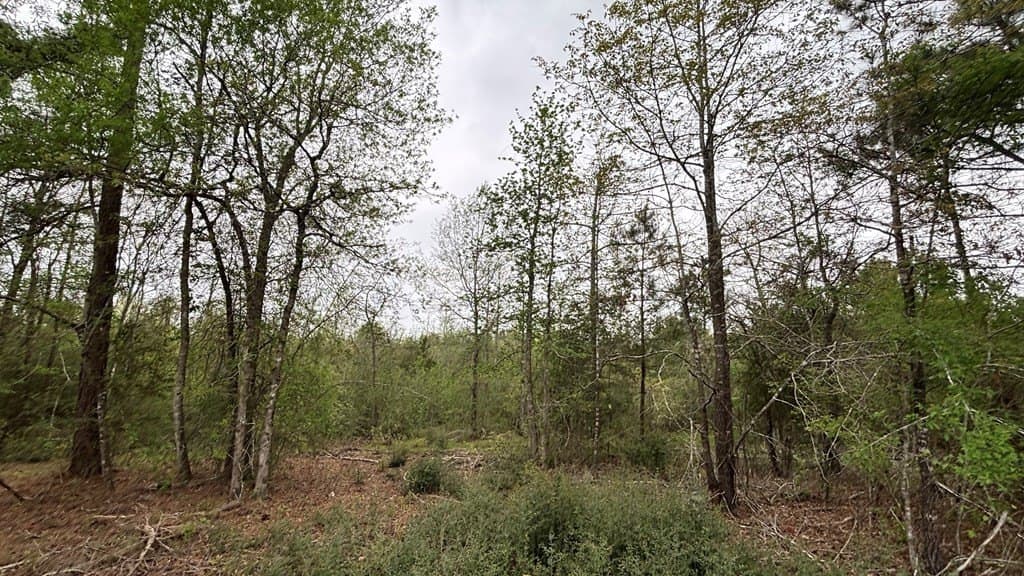 11.45 acres in Texas County - photo 7