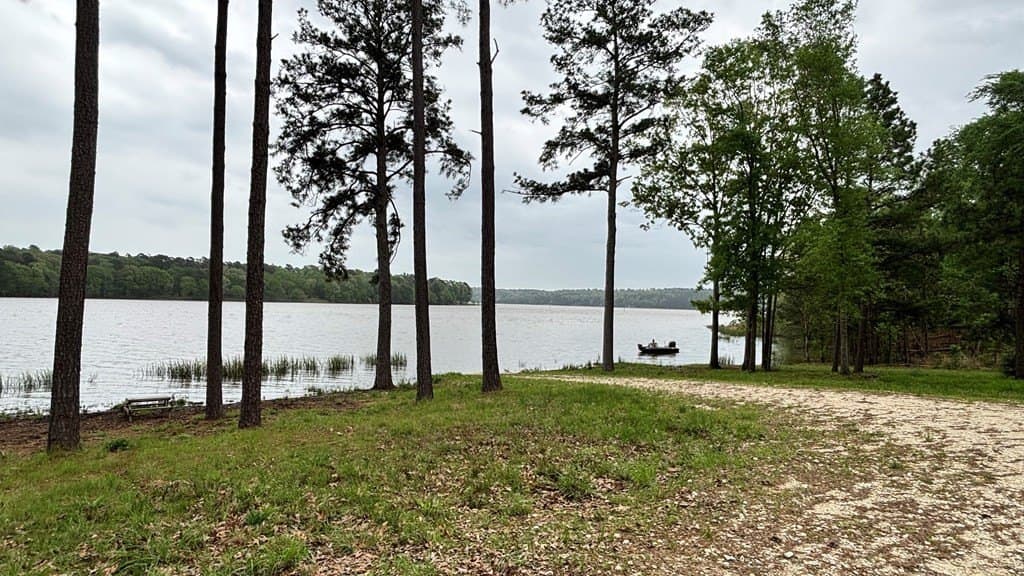 11.45 acres in Texas County - photo 12