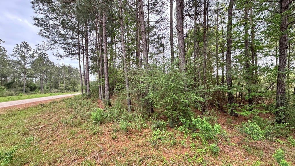 11.45 acres in Texas County - photo 9