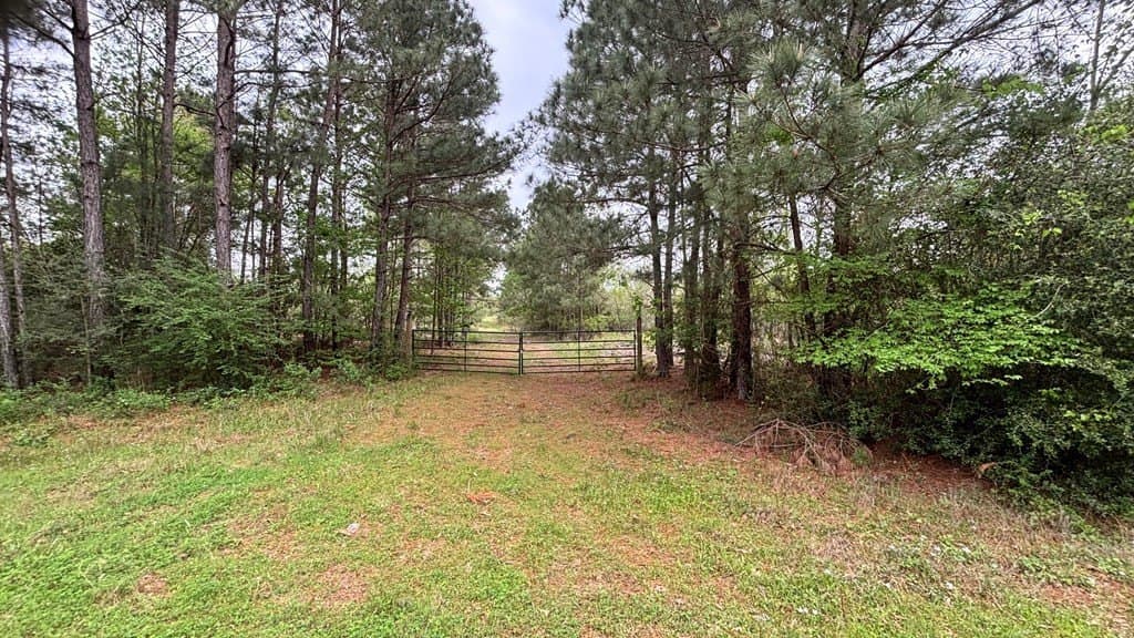 11.45 acres in Texas County - photo 4