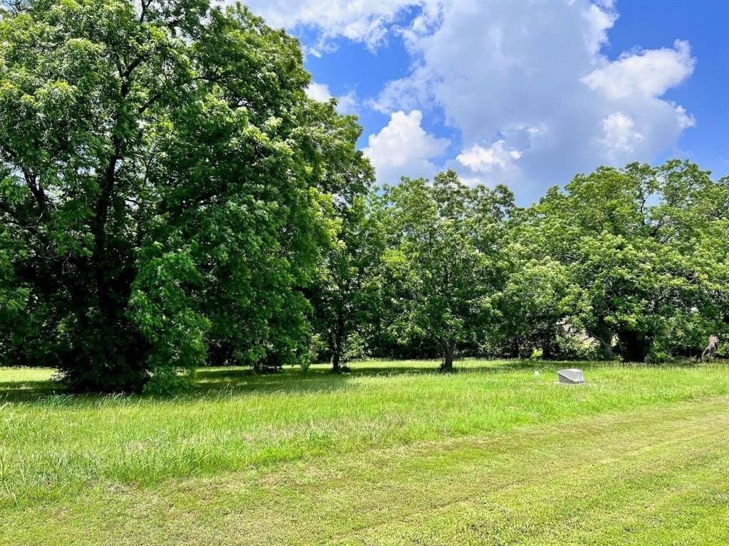3.78 acres in Navarro County - photo 3
