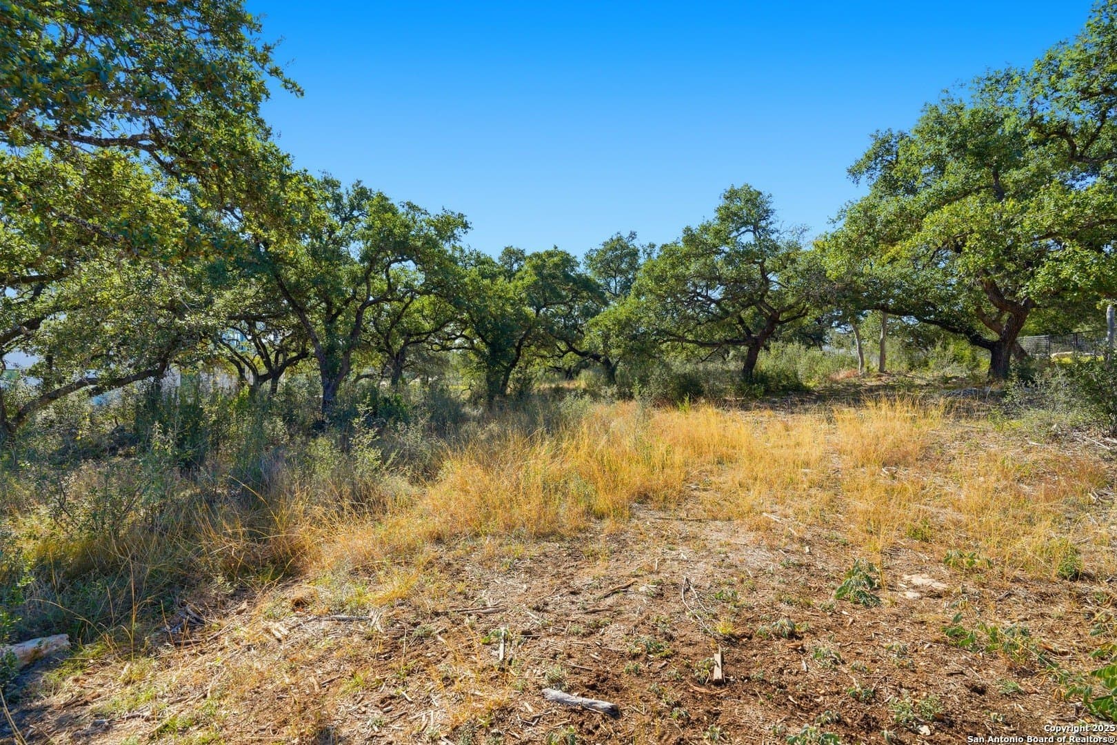 0.66 acres in Bexar County - photo 18