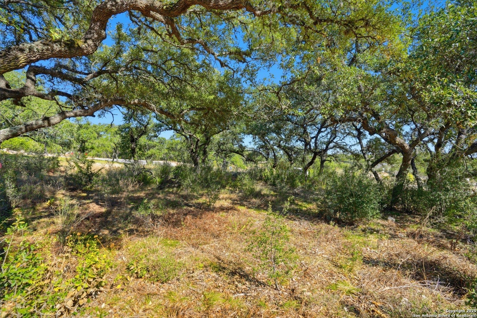 0.66 acres in Bexar County - photo 19