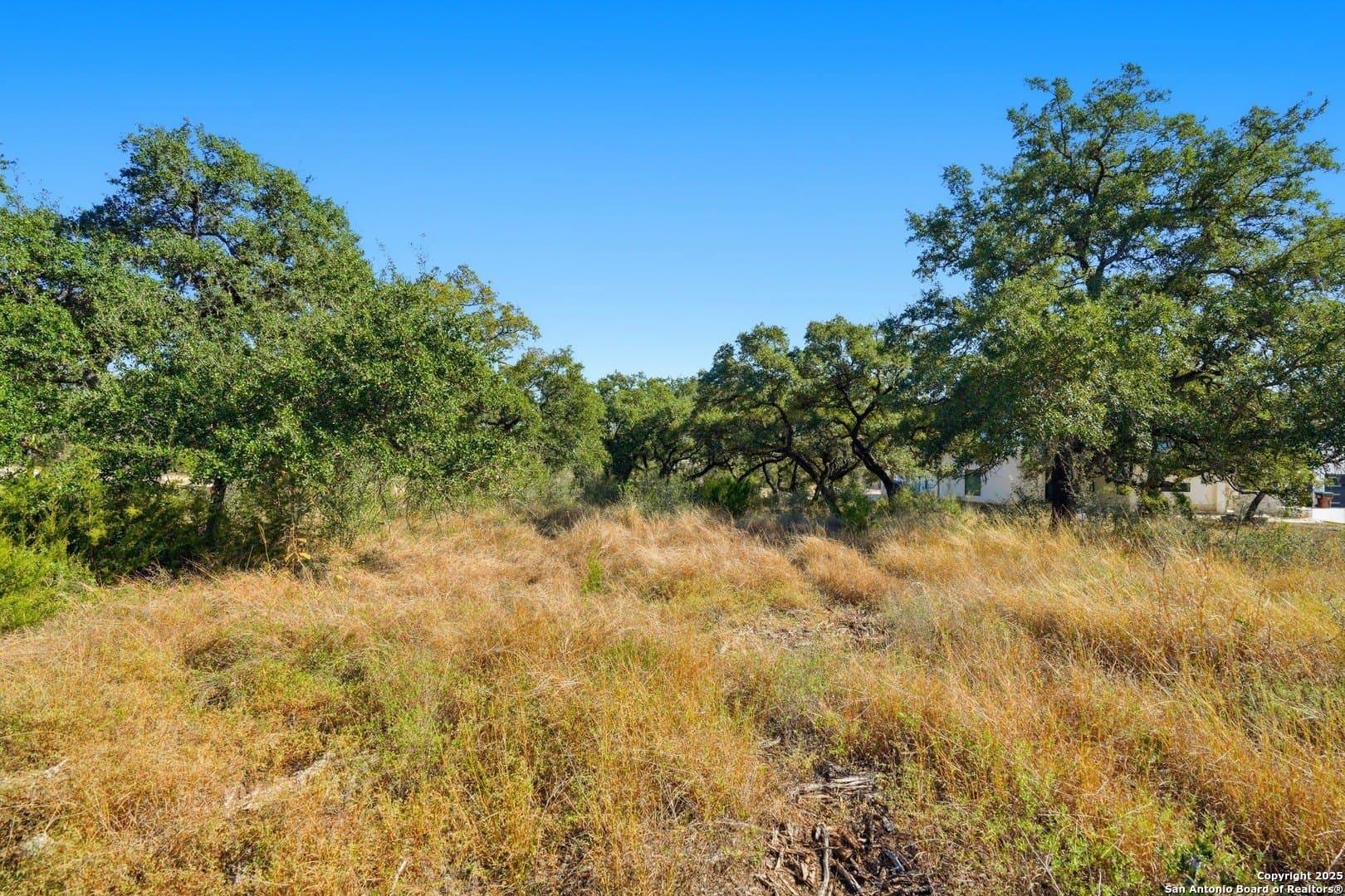 0.66 acres in Bexar County - photo 20