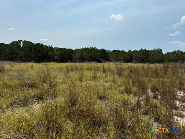 3.81 acres in Comal County - photo 5