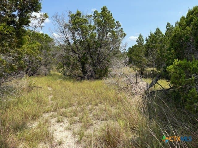 3.81 acres in Comal County - photo 6
