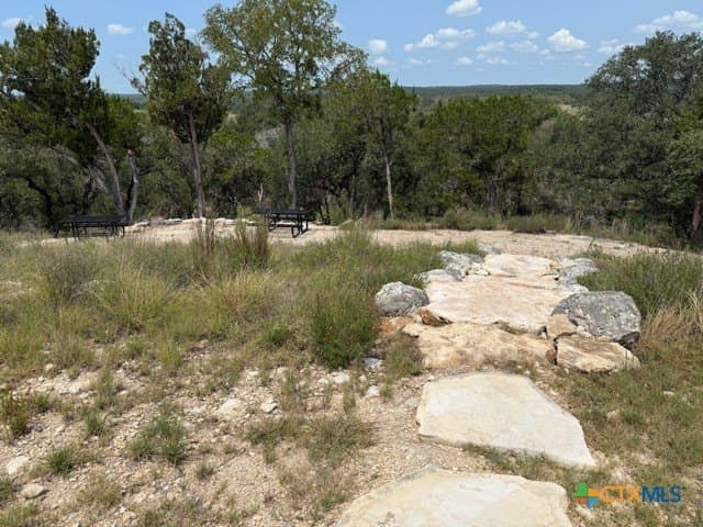 3.81 acres in Comal County - photo 23