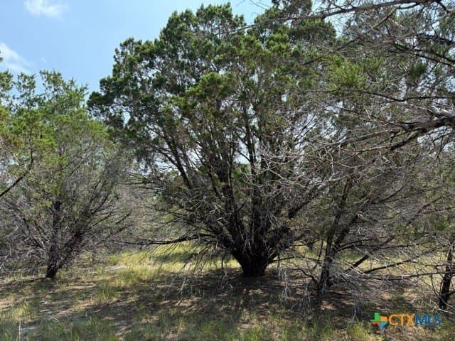 3.81 acres in Comal County - photo 7